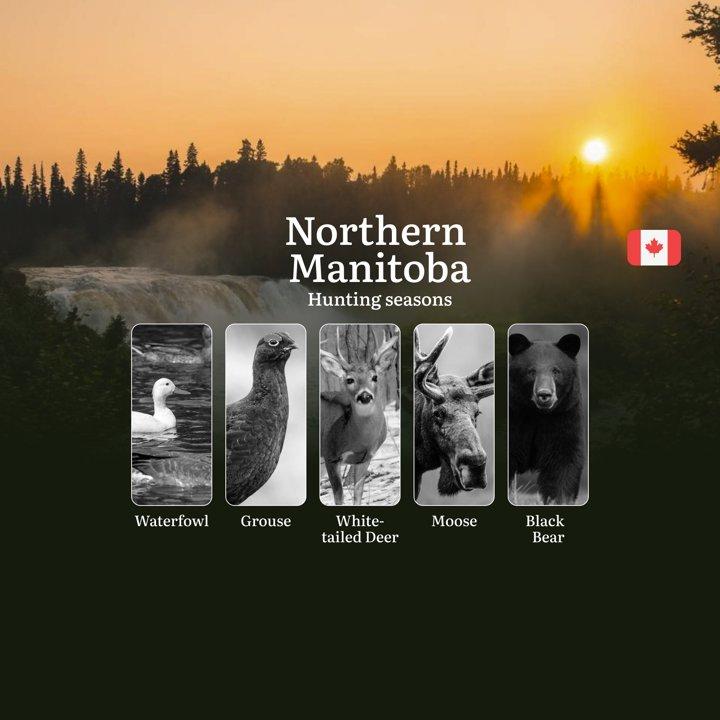 <strong>Hunting</strong> Seasons <strong>in</strong> NORTHERN MANITOBA: Opening and Closing, Licenses and Rules 

Northern Manitoba offers exceptional <strong>hunting</st