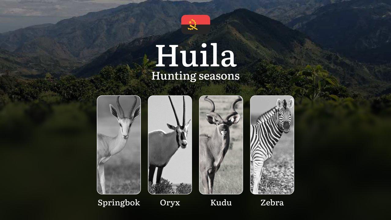 Hunting Seasons of Huíla: Exploring General Hunting Rules, Legislation and Permits, Hunter Events and Cultural Experiences

General Hunting Rules and Seasons in Huíla

Th
