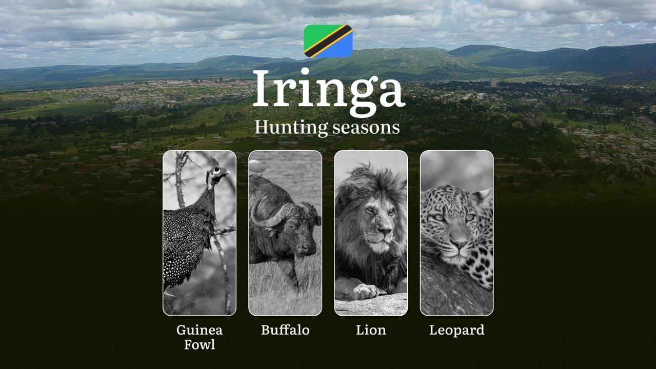 Hunting Date Ranges in Iringa: Species Available Throughout the Year, Seasonal Game Patterns, and Steps to Acquire an Official Hunting License