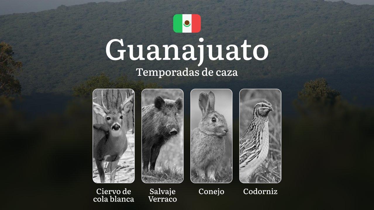 Temporadas y períodos de Caza en Guanajuato: Patrones Estacionales y Actividad Cinegética, Requisitos para la Obtención de Licencias en la Región