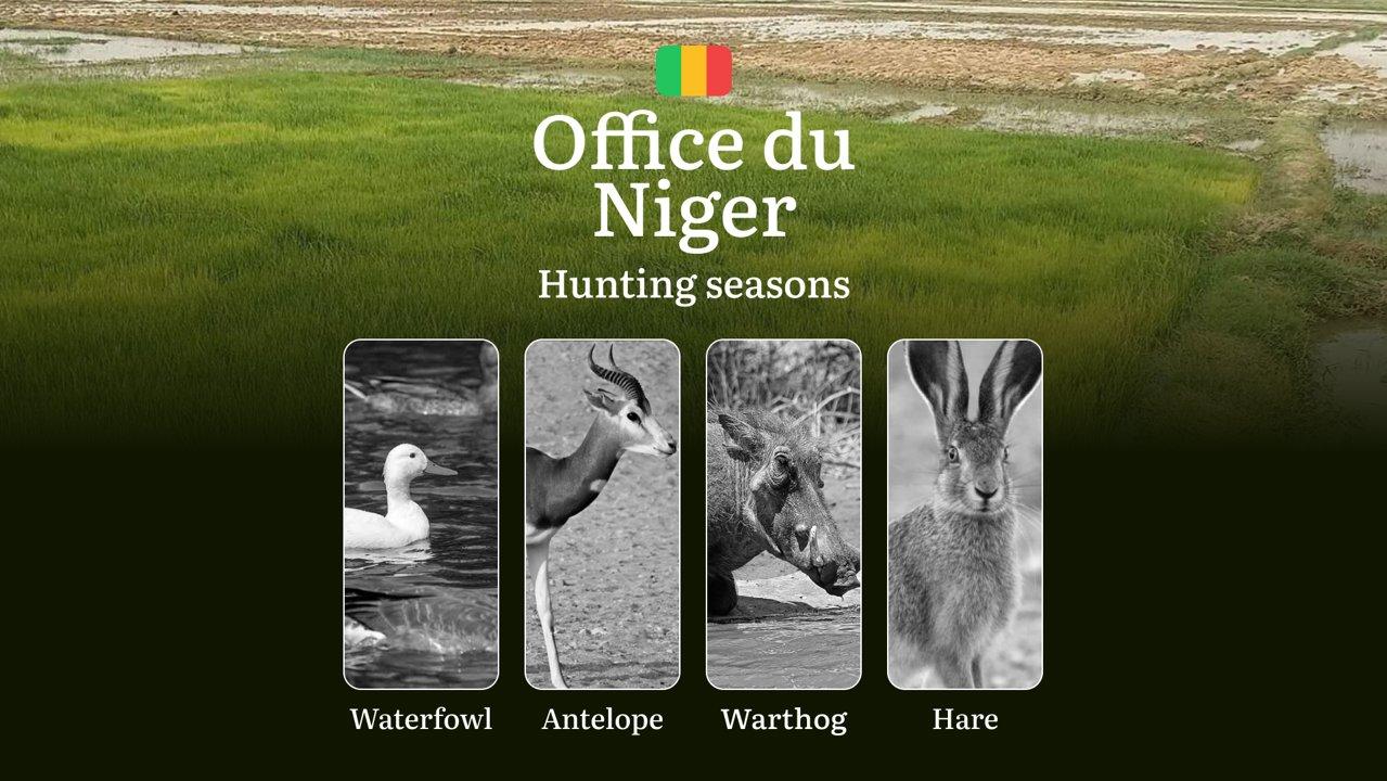 <strong>Hunting</strong> Periods in Office du Niger: Peak <strong>Hunting</strong> Periods for Large and Small Game, What’s Off Limits, Rules and Exceptions, Getting Your