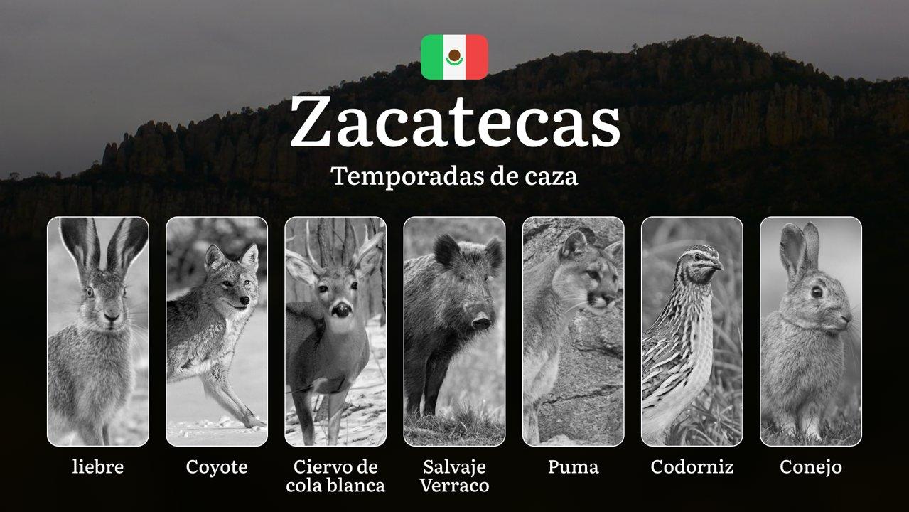 Temporadas y períodos de caza en Zacatecas: Calendario, Regulaciones y Épocas para la Caza Mayor y Menor  