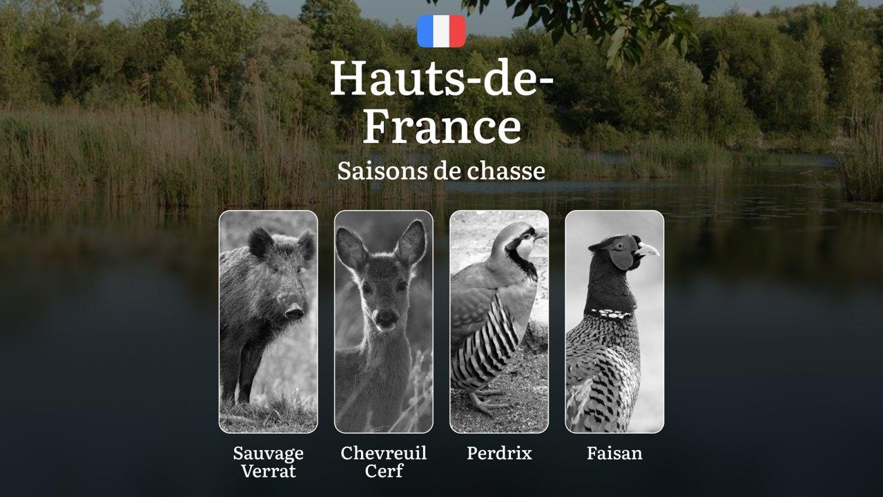 Saisons de Chasse en HAUTS-DE-FRANCE: Dates Officielles, Périodes Clés,  Comparaison Régionale, Restrictions Spécifiques, Réglementations en Vigueur et Stratégies Optimales