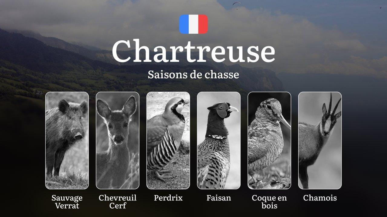 Saisons de chasse en CHARTREUSE: Calendrier Complet, Règles Générales, Espèces Chassables, Événements Locales et Conseils Pratiques 