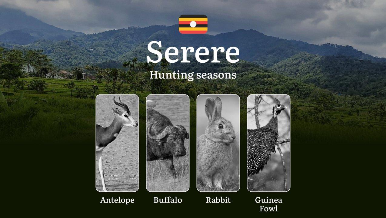 Serere: Hunting Activity Periods, Protected Species and Seasonal Restrictions, Obtaining a License, Penalties That Affect Your Hunt, Expert Advice, Timing, Equipment 

Hu
