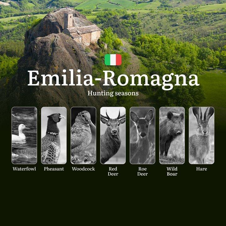 Hunting in Emilia-Romagna: From the Comacchio Valleys to the Apennines – The Hunting Calendar, Seasons, and Rules to Know