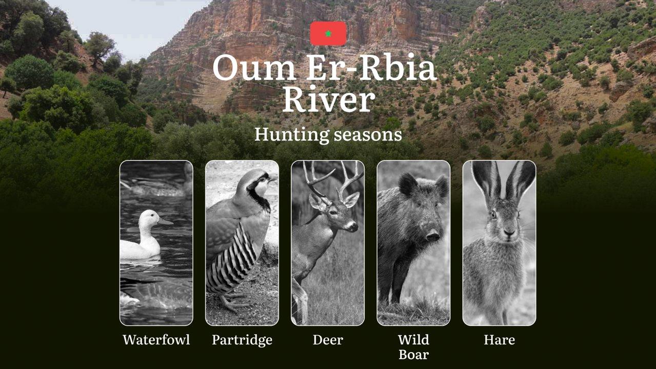 Hunting Dates in Oum Er-Rbia River: Seasonality of Hunting, Timing and Regulations, Hunting Permits, Restrictions and Prohibitions

Planning your next hunting trip to Mor