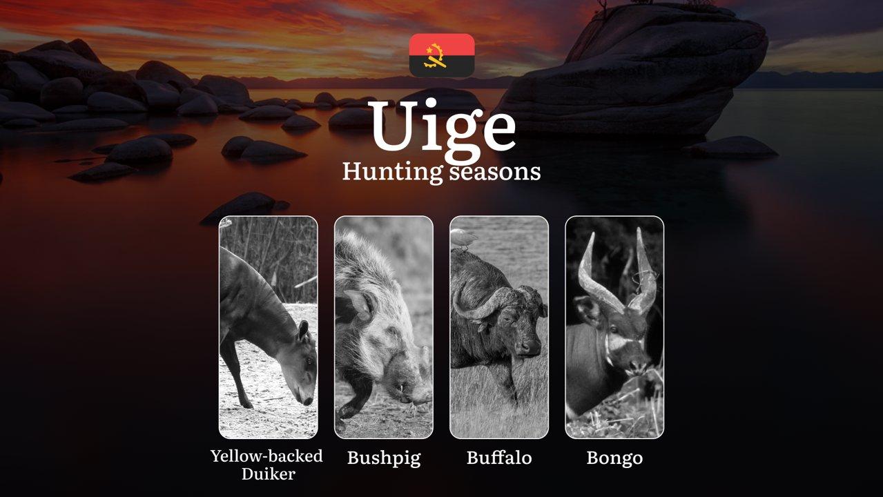 Hunting Through the Seasons in Uíge: Rules, Permits & Cultural Events and Traditions