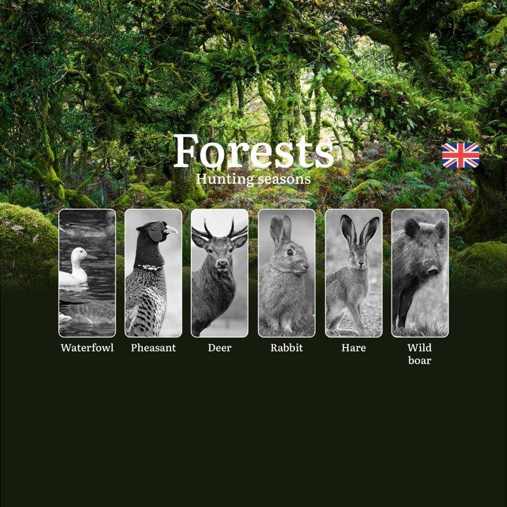 Hunting Seasons and Regulations in Forests & Woodlands: Key Dates, Licenses, and Best Times <strong>for</strong> <strong>Game</strong>

Hunting in Forests & Woodlands is 
