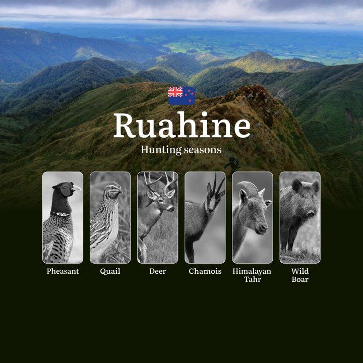 RUAHINE Forest Park Guide: Seasonality of Hunting, Restrictions and Prohibitions, Tips for Choosing the Right Time, Location, Gear, and Tactics