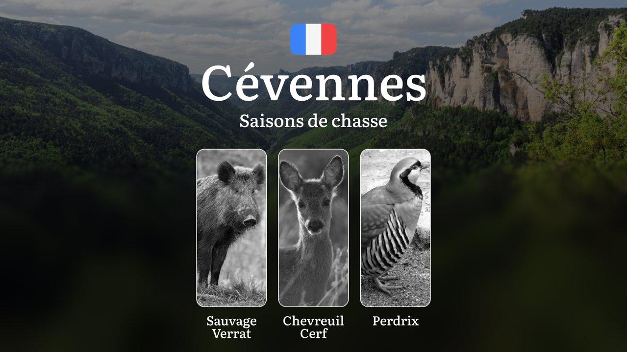 Saisons de chasse dans les CÉVENNES: Règles générales, Interdictions à connaître, Sanctions en cas de non-respect des règles et Conseils pratiques