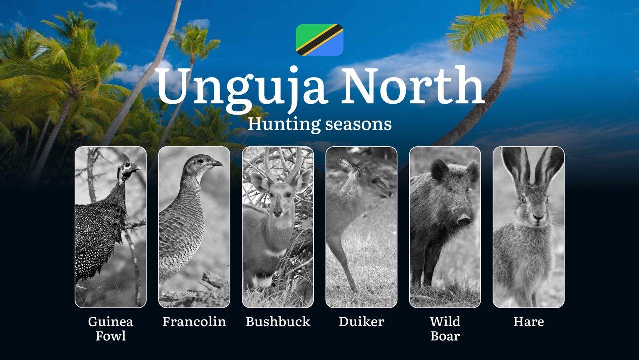 Unguja North: Hunting Timeframes, Species and Seasonal Bans, Participating in the Hunt, Getting Licensed, Penalties That May Spoil Season, Expert Recommendations, Timing, Tools