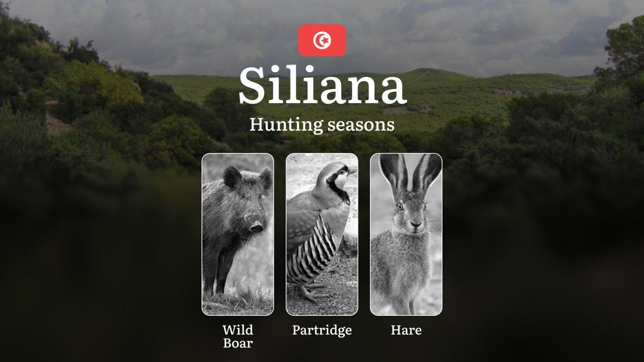 Hunting Seasons in SILIANA: Key Regulations, Protected Species, Legal Requirements and Practical Recommendations