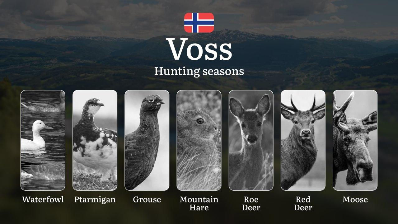 Voss: Hunting Seasons and Timing, Regulations and Licensing, Required Documents and Procedures, Tips for Hunters

Planning a hunting trip to Voss? This beautiful mountain
