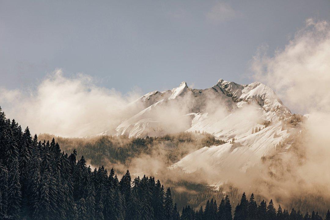 La Chasse dans les HAUTES-ALPES: Explorez les Particularités Naturelles, Naviguez dans les Saisons de Chasse et Découvrez des Faits Intéressants