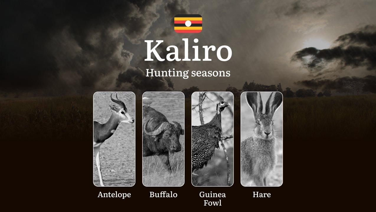 Hunting Season Dates in Kaliro: Regulatory Caps and Seasonal Closures, License Requirements, Penalties and Legal Outcomes for Infractions, Strategic Planning, Best Timing