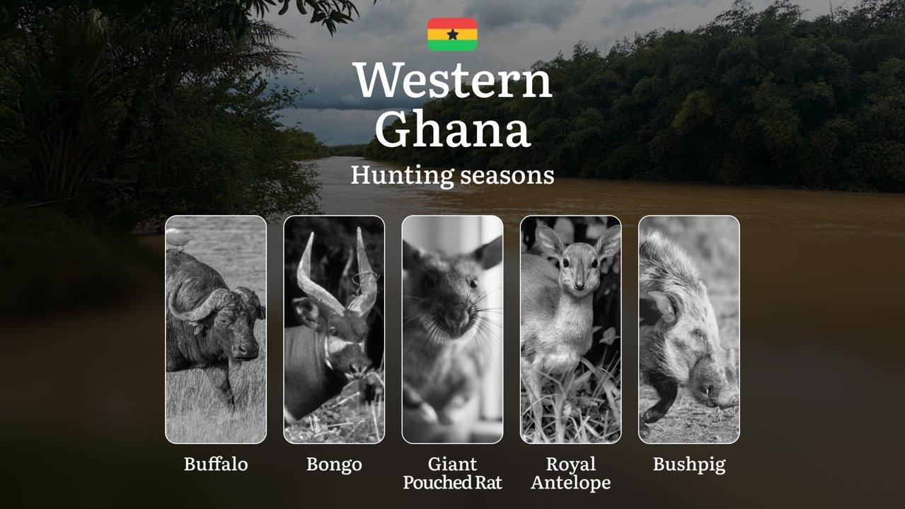 Hunting Seasons of Western: Exploring General Hunting Rules, Legislation and Permits, Hunter Events and Cultural Experiences