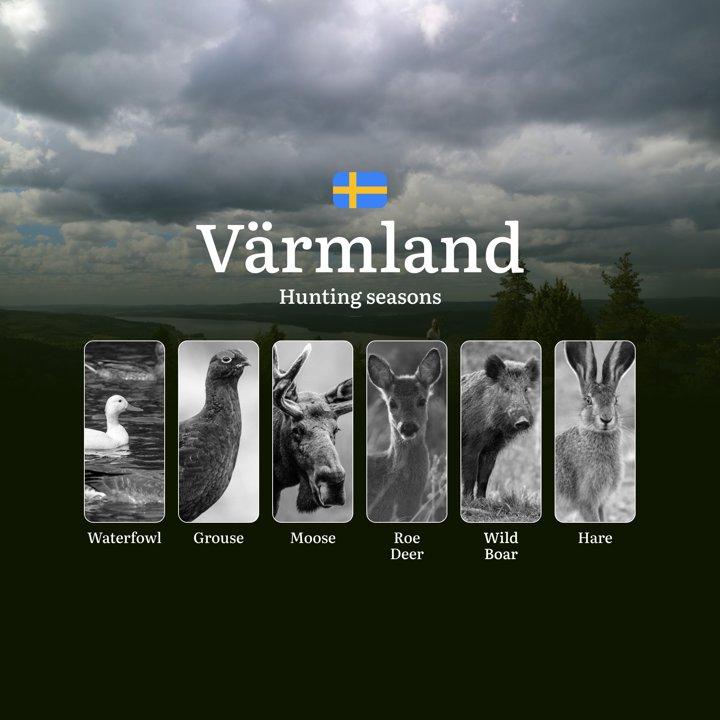 Hunting Periods and Permits in VÄRMLAND: A Detailed Look at Game <strong>Movement</strong> Throughout the Year, Seasonal Limits, and How to Apply for a Hunting License in