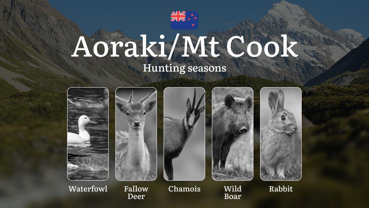 AORAKI/MT COOK Region: Hunting Periods and Rules, Best Times and Species, Penalties for Violating Hunting Rules

Rules and Hunting Periods in Aoraki/Mt Cook: Regional Fea