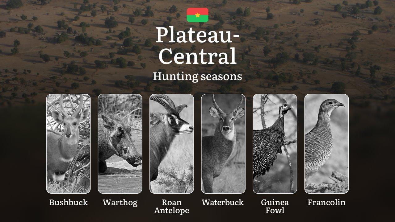 Hunting Seasons in PLATEAU-CENTRAL: Optimal Hunting Periods, General Rules, Protected Species, Required Documents and Practical Tips