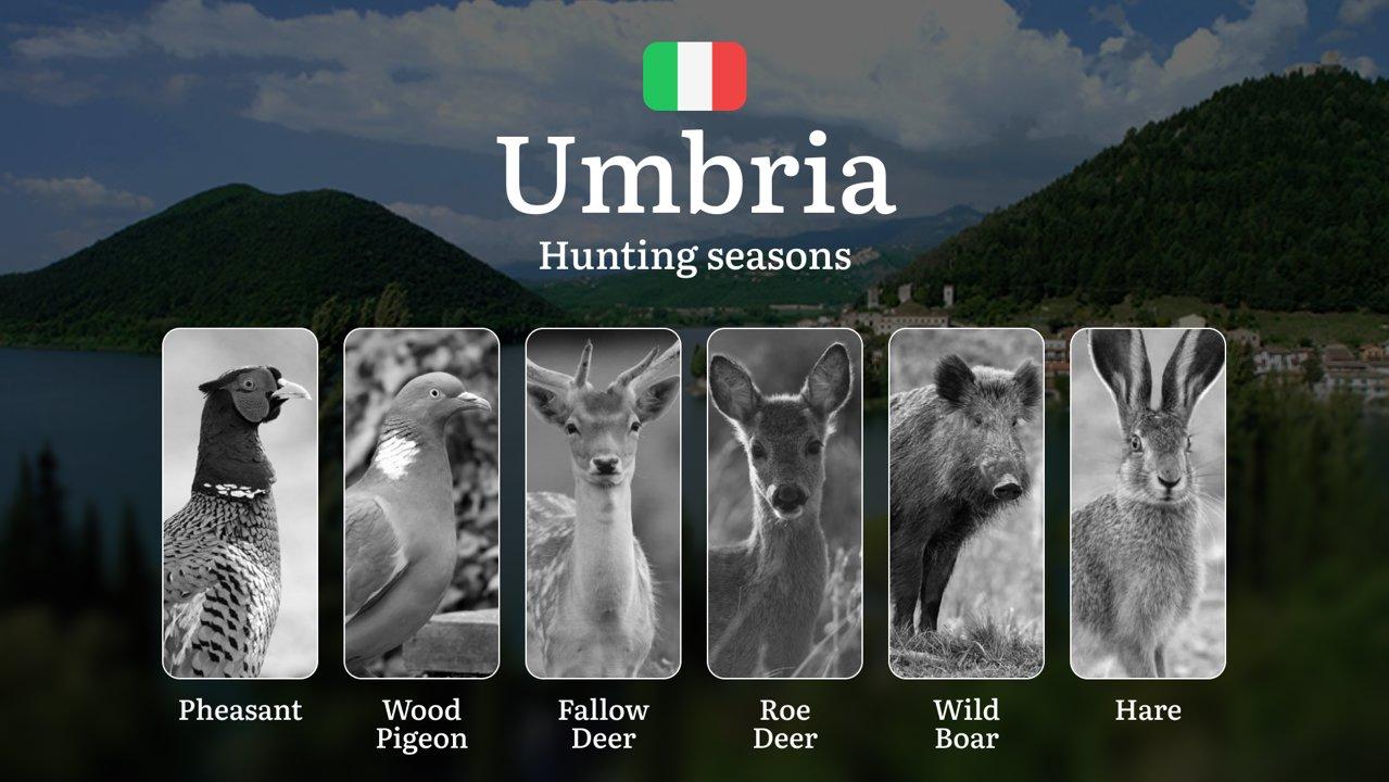From Trasimeno to the Apennines: Umbria's Hunting Seasons Explained – Opening Dates, Special Permits and Prohibited Periods

The hunting season in Umbria is regulated by 