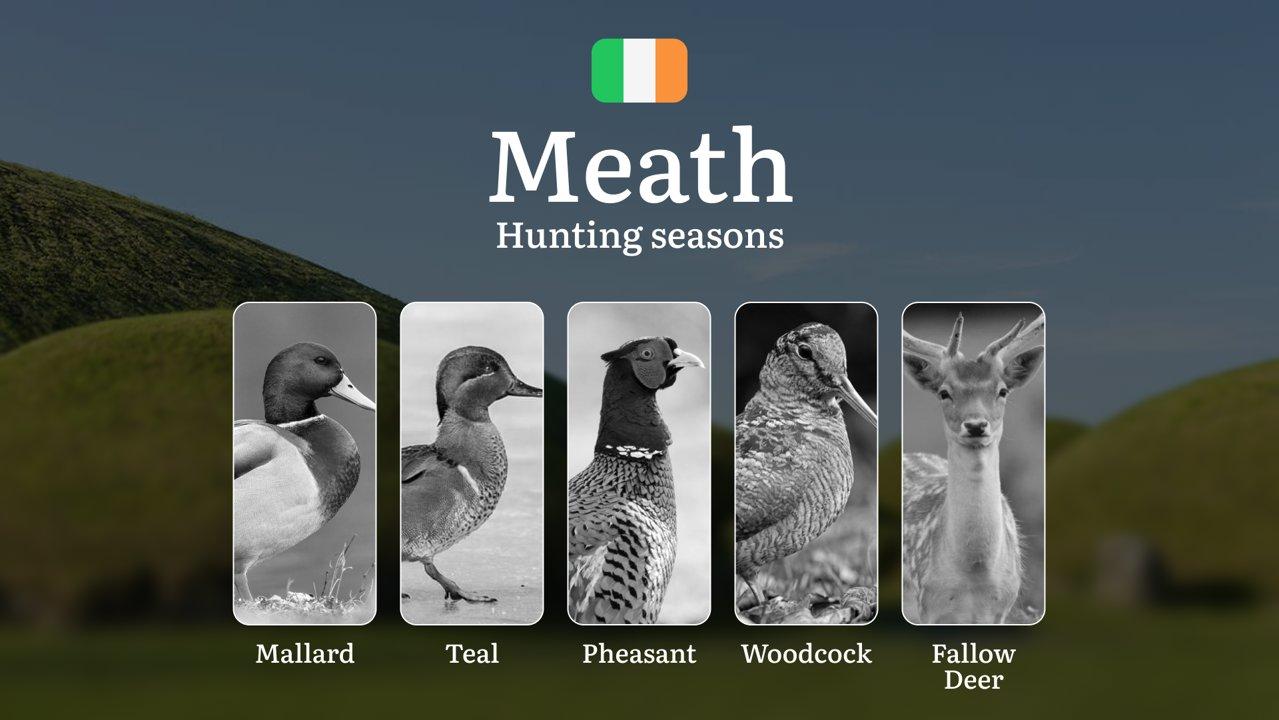Royal MEATH Hunting Calendar: When the Boyne Valley Awakens - Pheasant, Woodcock and Irish Field Sport

Hunting Regulations & Seasonal Framework in Meath

County Meath op