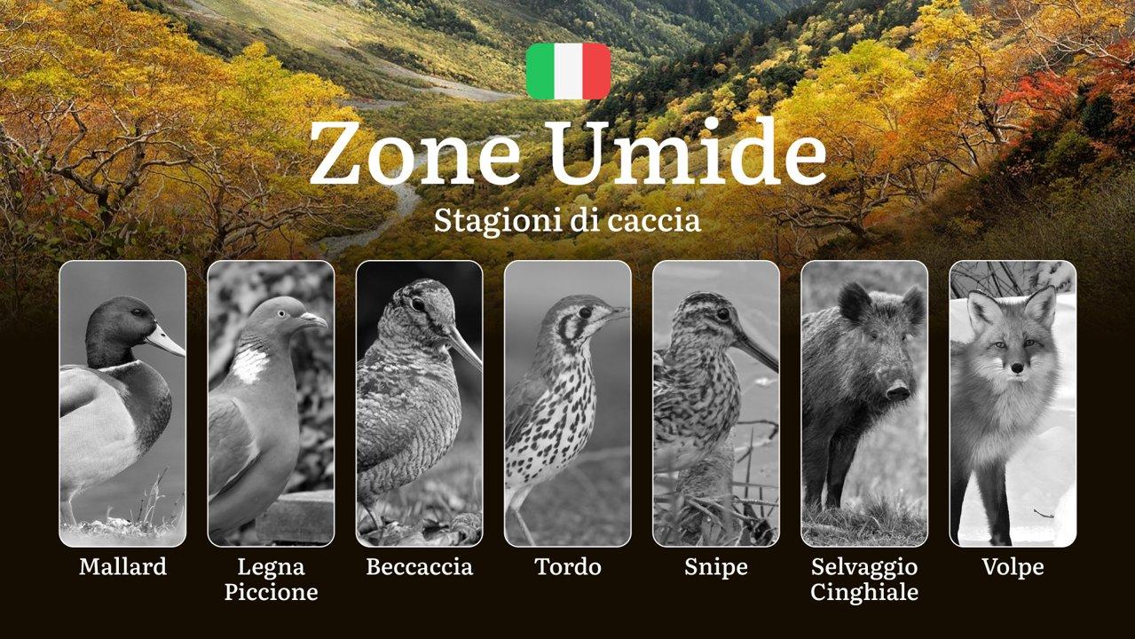 Tra Paludi e Lagune: Calendario Venatorio nelle Zone Umide Italiane con Date e Specie Protette