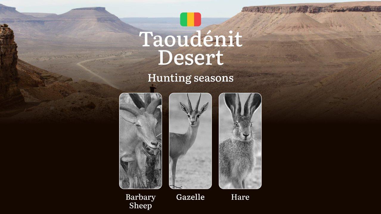 Hunting Season Schedule in Taoudénit Desert: Year-Round Huntable Species, Game Movement by Season, and the Procedure for Obtaining an Official Hunting Permit