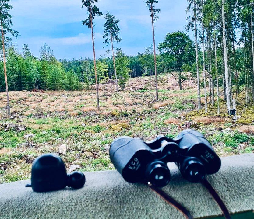 A hunting trip with my best buddies