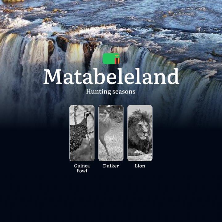 Lion Hunting in Matabeleland, Zambia: Seasons, Regulations, and Prime Times for the Ultimate Trophy Adventure