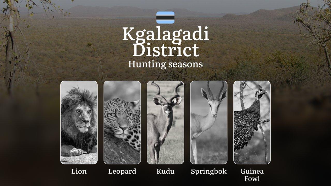 Kgalagadi District: Authorized Game Seasons, Rules, Access Regulations, Penalties for Violations, Preparation Timeline, and Equipment Checklist