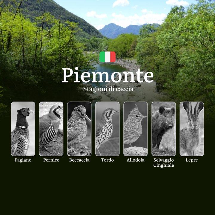 Caccia in Piemonte: Stagioni, Regole, Specie e Consigli per una Pratica Sostenibile

Normativa Generale e Periodi di Caccia in Piemonte

Il Piemonte è una delle regione i