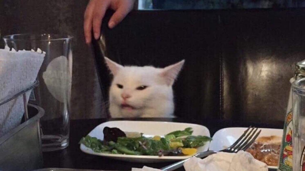 <strong>Dinner</strong> 😺🥕