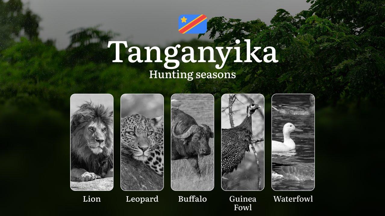 Hunting Date Ranges in Tanganyika (DRC): Main Seasons by Species, No-Hunt Zones, Regulations, License Process, and Timing Tips

Hunting in Tanganyika, Democratic Republic