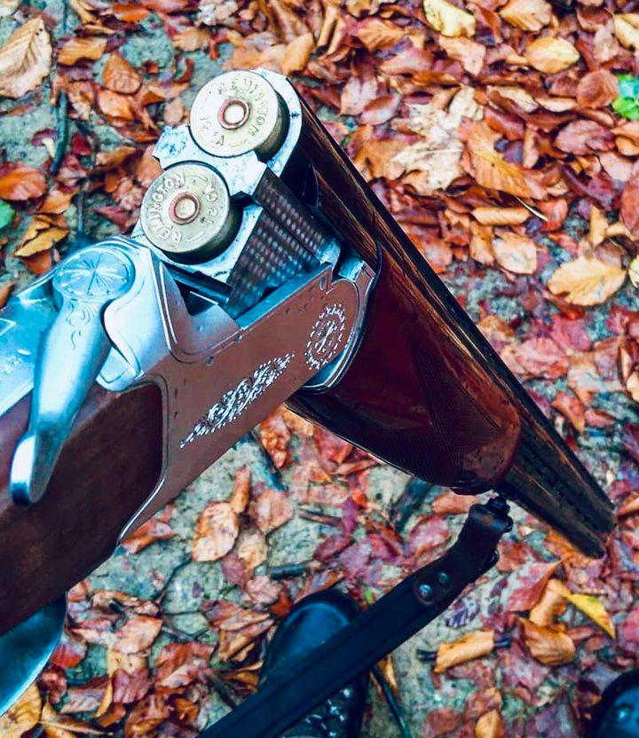 CZ Mallard: обзор охотничьего ружья, калибр, характеристики, отзывы, цена.

CZ Mallard — классическое двуствольное ружье с вертикальным расположением стволов, созданное д