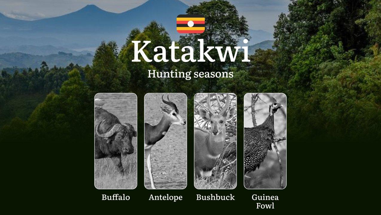 Seasonal Hunting Periods in Katakwi: Limits, Prohibitions, Licensing, Penalties, Preparation, and Gear

Hunting in Katakwi is shaped by its rich biodiversity and the regi