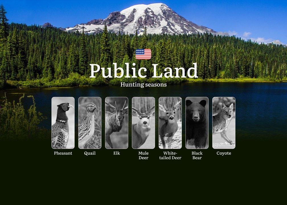 Post Card