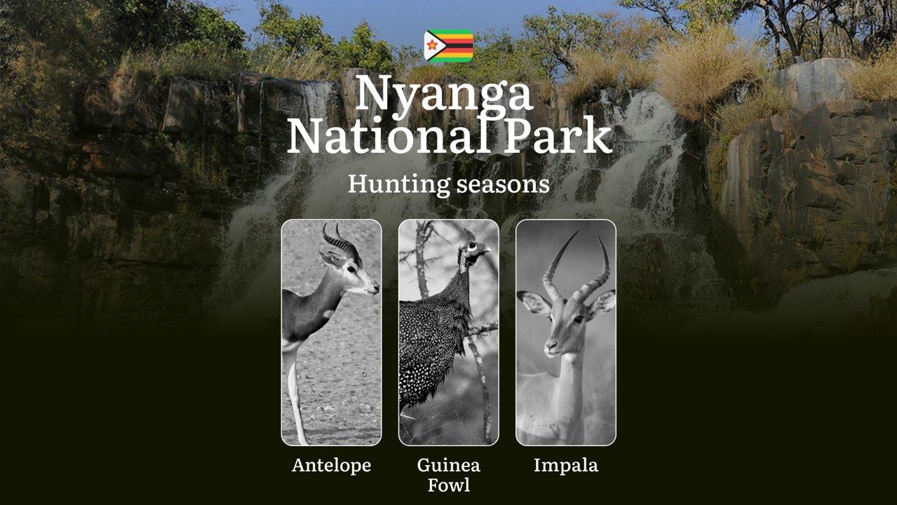 Dates of Hunting in NYANGA NATIONAL PARK, Zimbabwe: Seasons, Licenses, Rules, and Periods, Hunting Permits, Tips for Planning