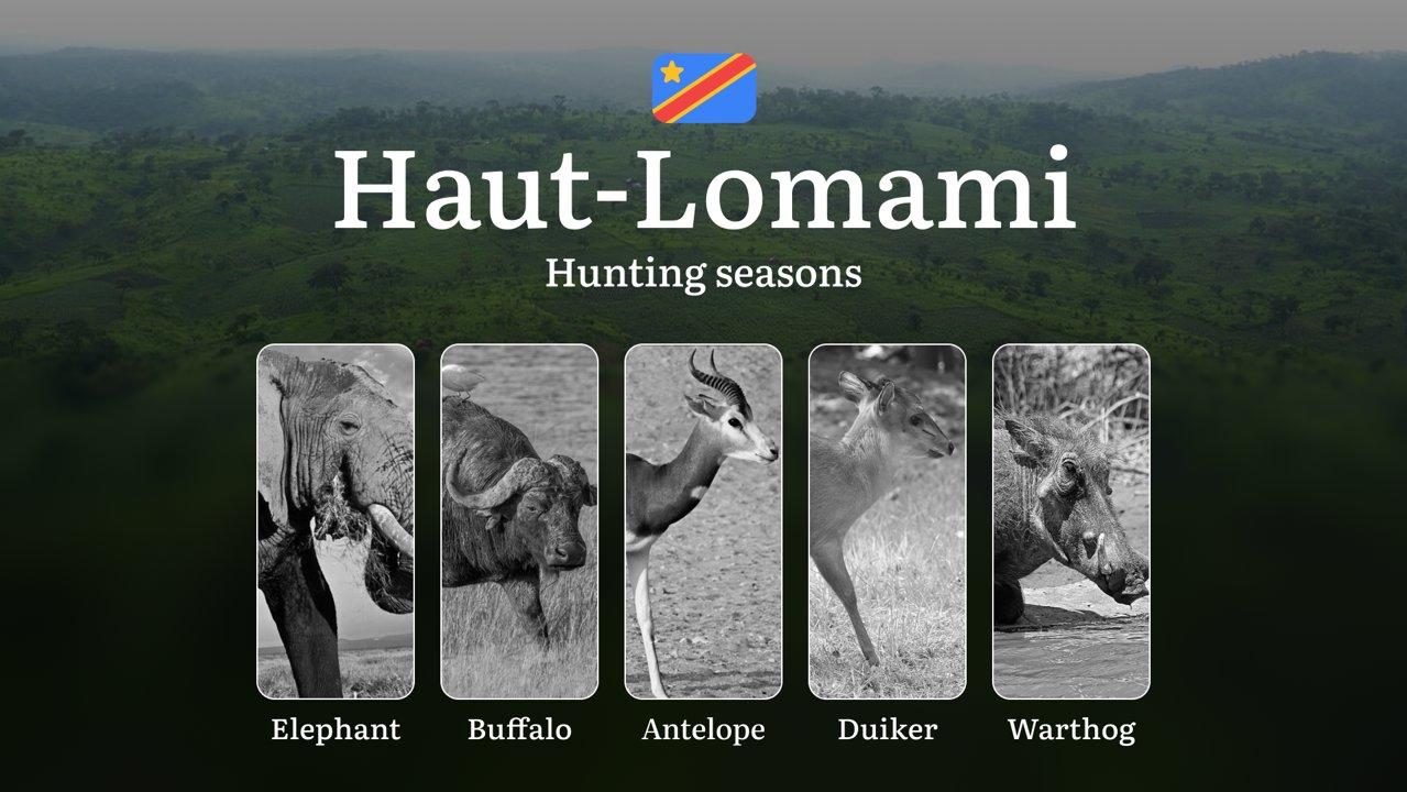Hunting Seasons in Haut-Lomami (DRC): Permitted Seasons, Temporary Prohibitions, Licensing Regulations, Penalties for Infractions, Tactical Planning, and Gear Selection 