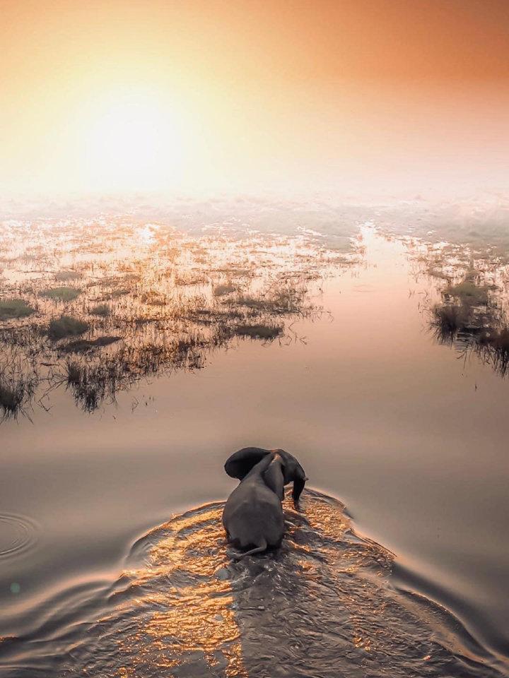Okavango <strong>Delta</strong>


