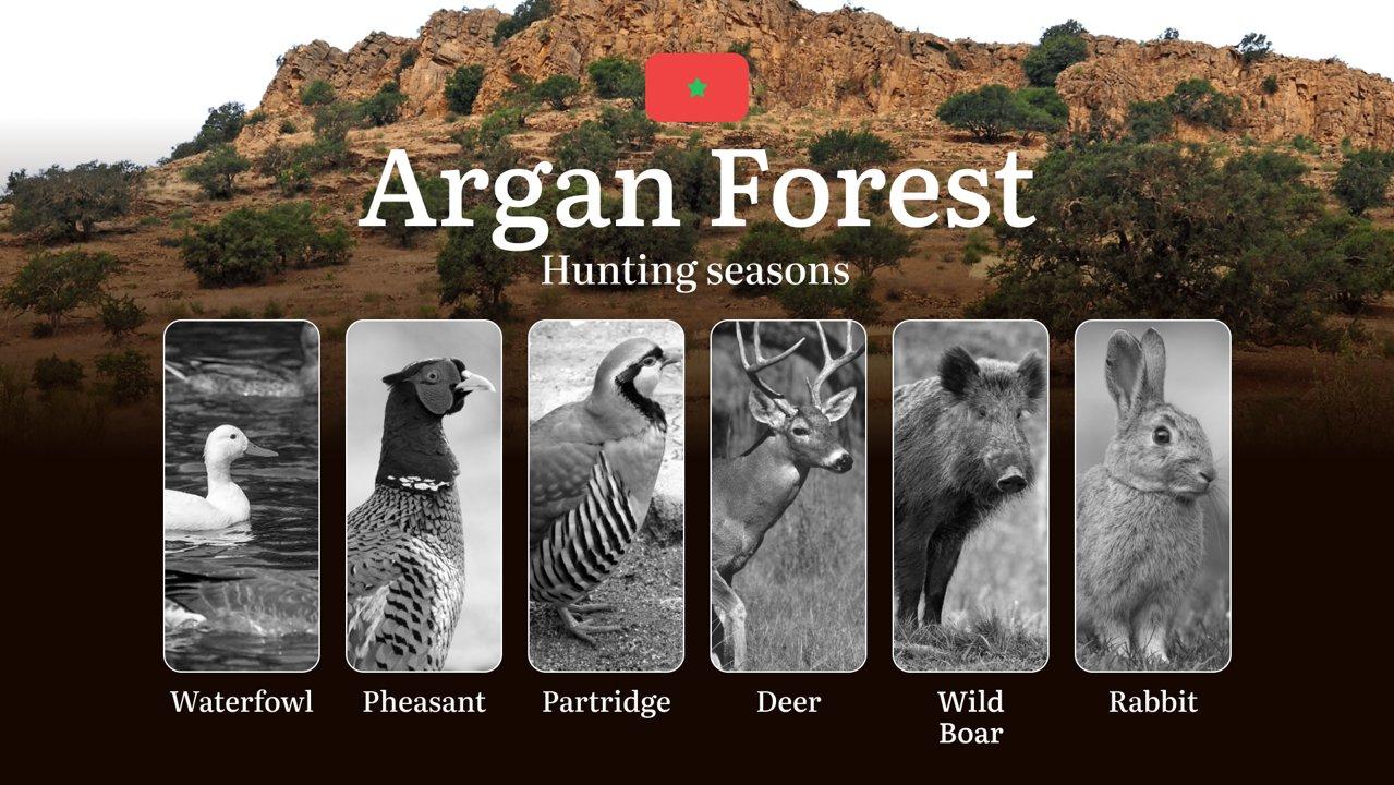 Hunting Dates in Argan Forest: Seasonality of Hunting, Timing and Regulations, Hunting Permits, Restrictions and Prohibitions 