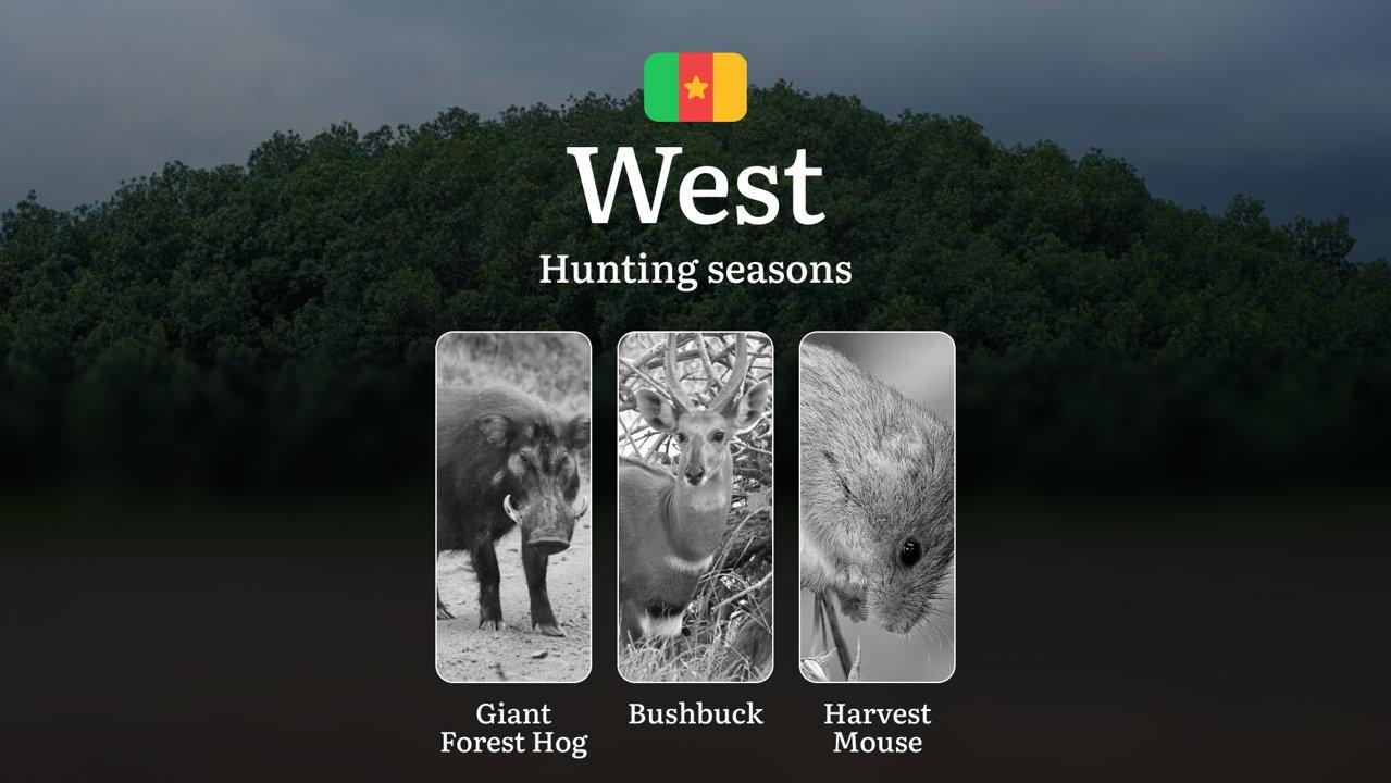 Hunting Seasons of West: Exploring General Hunting Rules, Legislation and Permits, Hunter Events and Cultural Experiences