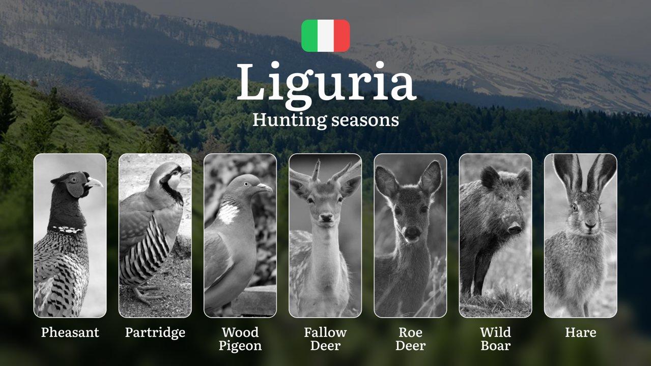 Liguria Hunting Guide Season: Dates, Prime Locations & Regulations – From September Openers to January Closures

Liguria’s Diverse Hunting Landscape

 Liguria stands out 