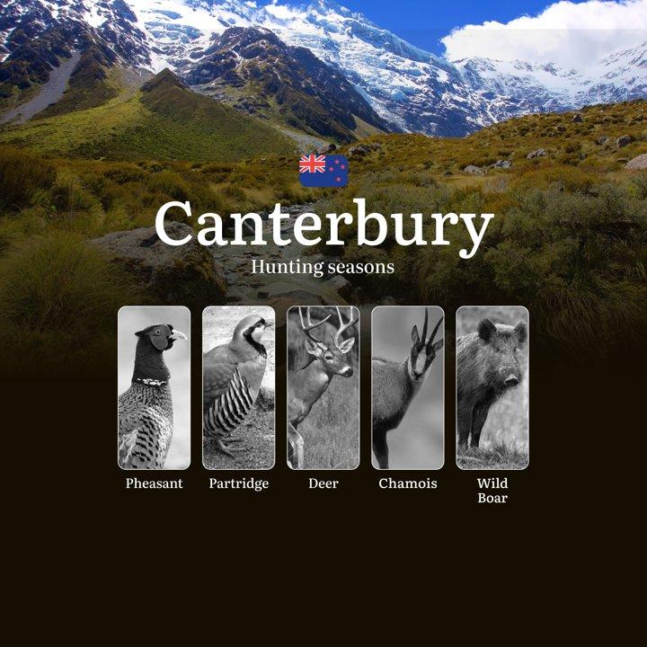 Hunting Time in CANTERBURY, New Zealand: Hunting Periods and Seasons, Licenses and Rules.