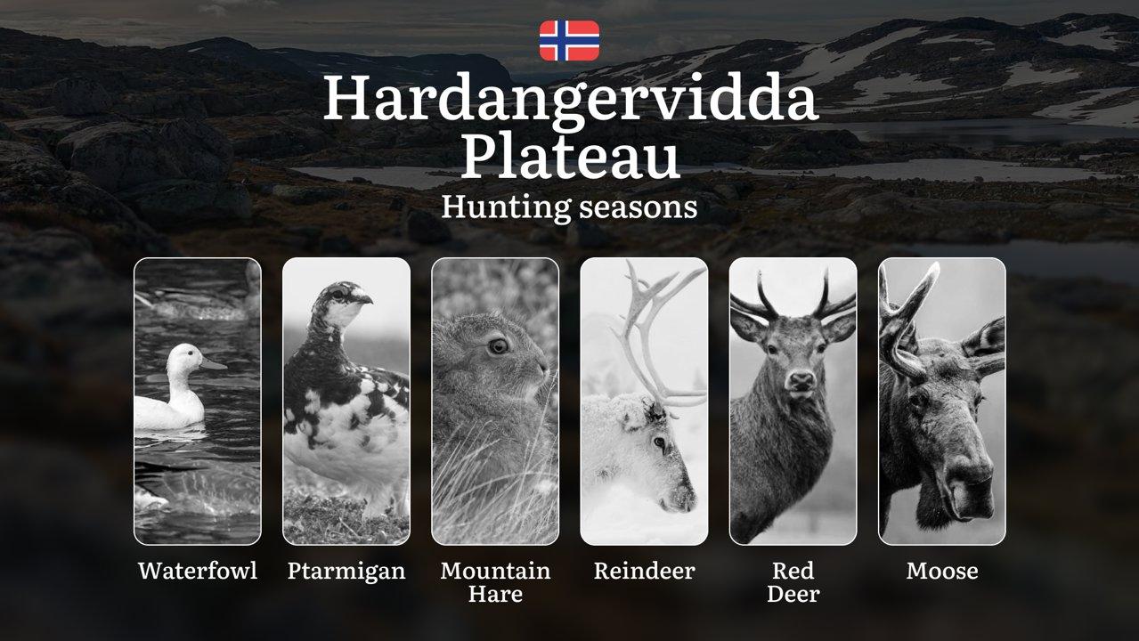 Hunting Periods and Permits in Hardangervidda Plateau: A Detailed Look at Game Movement Throughout the Year, Seasonal Limits, and How to Apply for a Hunting License in th