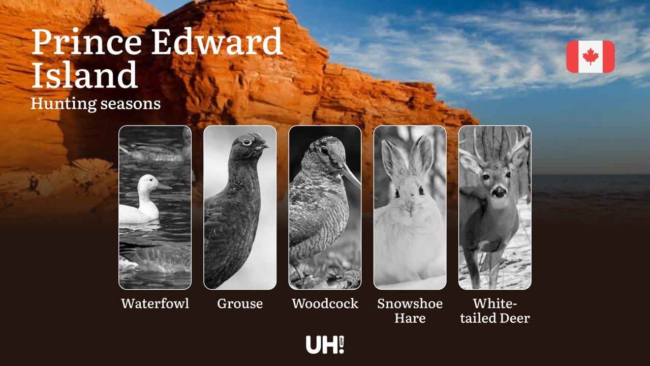 Hunting Seasons in PRINCE EDWARD ISLAND: Key Opening/Closing Dates, License Requirements and Essential Rules 