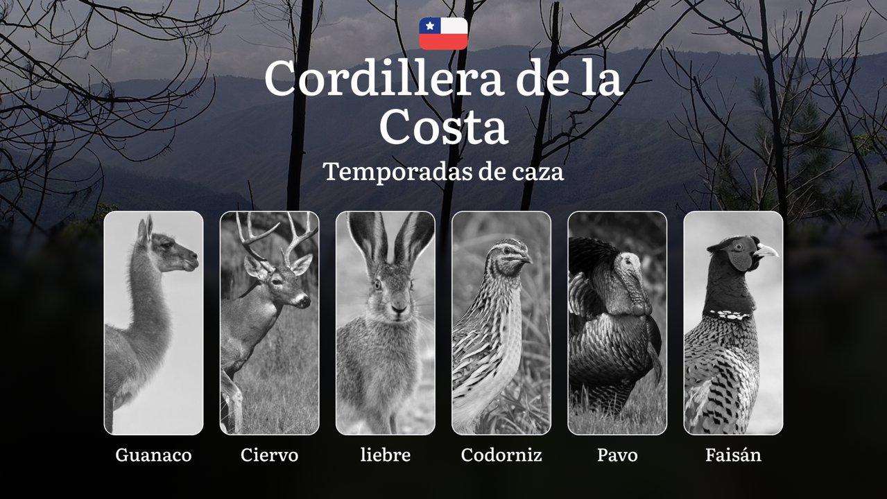 Fechas de caza en Chile, la Cordillera de la Costa: Estacionalidad de la caza,   Prohibiciones y límites,  Multas por incumplir las normas y temporadas de caza 