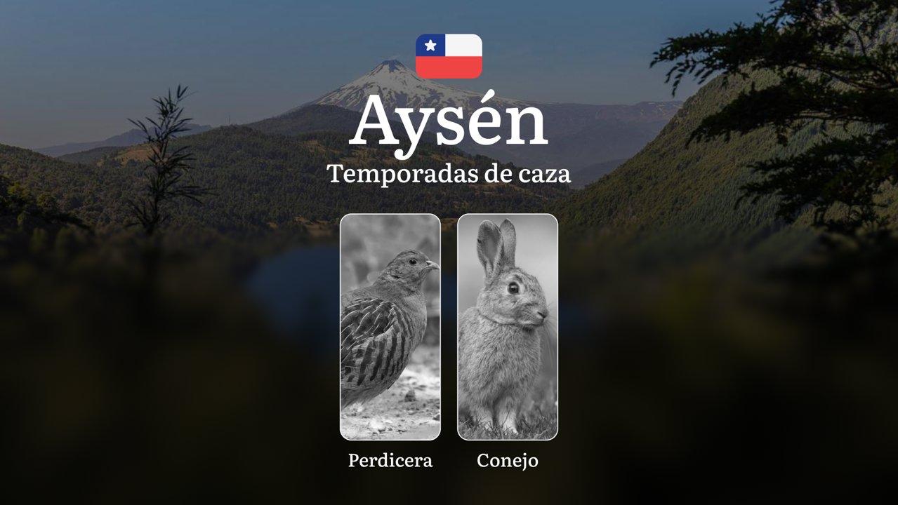 Temporadas de caza en la región de Aysén, Chile: épocas, normativas y recomendaciones, prohibiciones y limitaciones