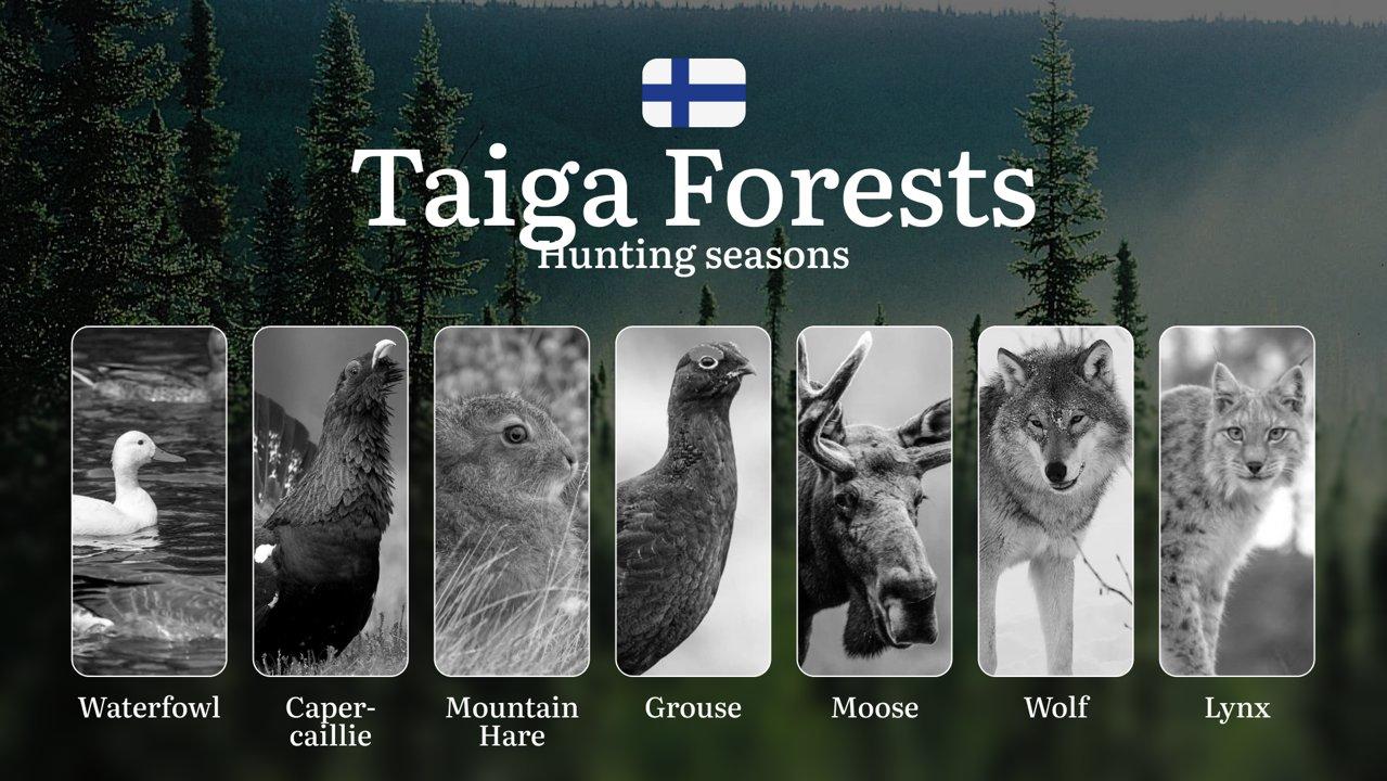 Hunting Seasons in TAIGA FORESTS: Optimal Timing, Required Permits, Penalties, Crucial Regulations and Restrictions