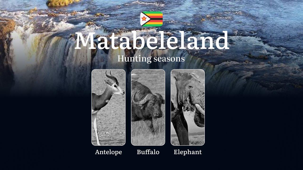 Hunting Seasons in Zimbabwe, MATABELELAND: Seasonal Dates, Hunting Permits, Tips for Hunters, Location, and Tactics, Consequences for Offenders

Rules and Specifics in th